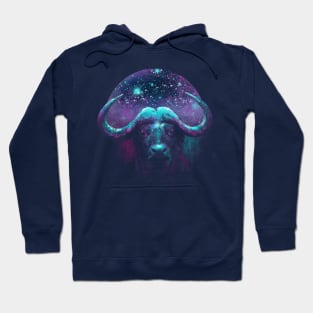 Space Flask Hoodie